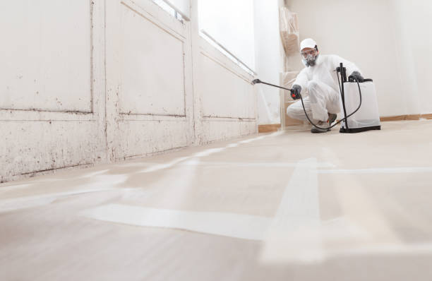 24/7 Emergency Black Mold Remediation experts in Wendell, NC