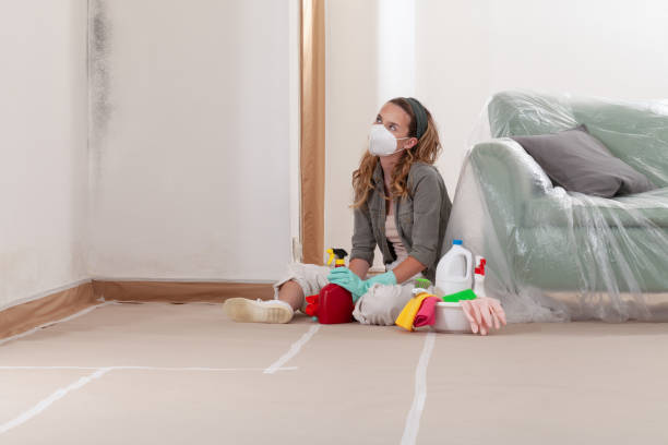 Reliable Black Mold Remediation contractor in Wendell, NC by 24 Hour Mold Removal